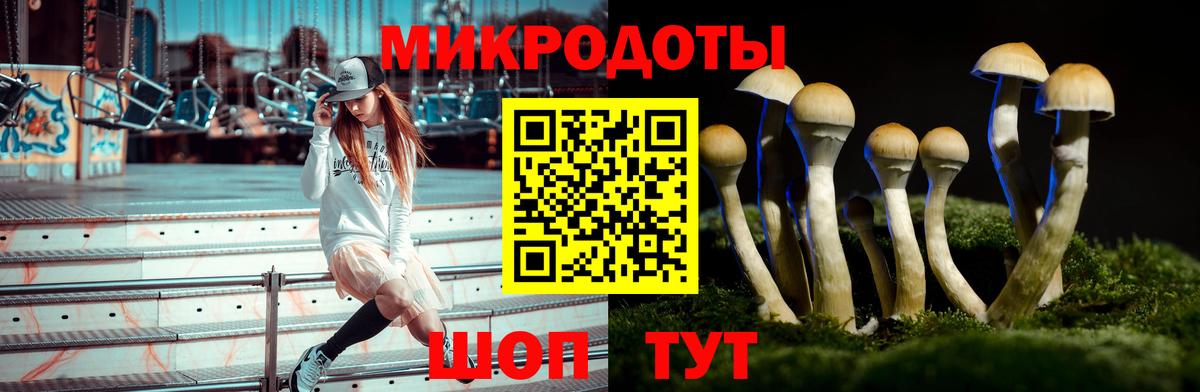 Галлюциногенные грибы мухоморы Карпинск