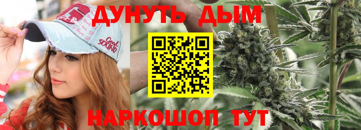 Каннабис планчик Карпинск